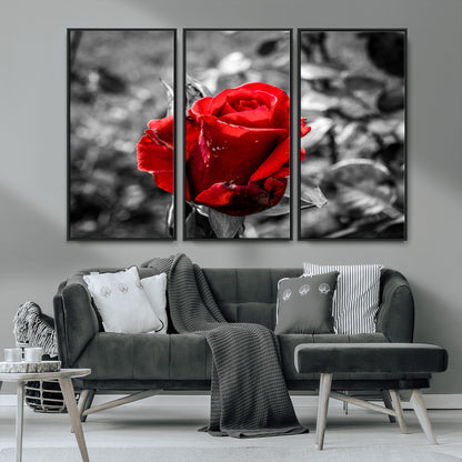 84671-MGV-CV-36X24-Red Rose Wall Art – Vibrant Single Bloom Canvas Print with Black and White Background, Elegant Floral Decor for Living Room,