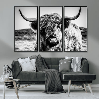 36979-MGV-CV-36X24-Striking black-and-white portrait of a Highland cow with flowing fur and majestic horns, perfect for rustic and elegant home or