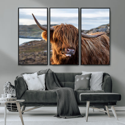 71222-MGV-CV-36X24-A playful Highland cow with shaggy fur sticks out its tongue, set against a rugged landscape — perfect for quirky home or office