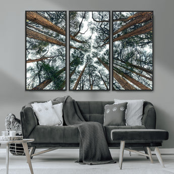 18790-MGV-CV-36X24-Pine Canopy Wall Art – Panoramic View of Towering Pines Canvas Print, Nature-Inspired Decor for Office, Cabin or Living Room