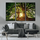 52150-MGV-CV-36X24-Majestic Tree Wall Art – Large Nature Canvas Print with Sunlight Through Branches, Rustic Forest Decor for Living Room, Bedroom or
