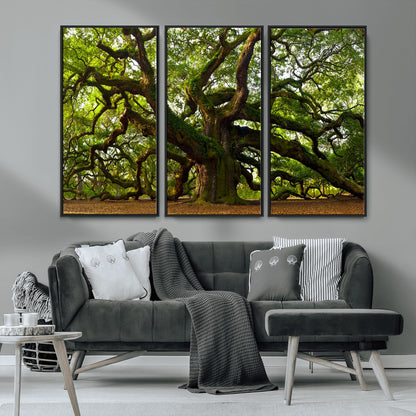 29407-MGV-CV-36X24-Ancient Oak Tree Wall Art – Majestic Nature Canvas Print, Large Tree Photography Decor for Living Room or Office