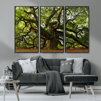 29407-MGV-CV-36X24-Ancient Oak Tree Wall Art – Majestic Nature Canvas Print, Large Tree Photography Decor for Living Room
