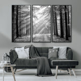 39665-MGV-CV-36X24-Black and White Forest Path Wall Art – Sunlight Rays in Trees Canvas Print, Nature Landscape Decor for Living Room