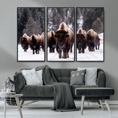 66871-MGV-CV-36X24-Bison Herd Wall Art – Wildlife Buffalo Canvas Print, Rustic Western Nature Photography Decor for Living Room, Office, Cabin, or