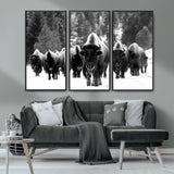62434-MGV-CV-36X24-Bison Herd Wall Art – Majestic Black and White Buffalo Canvas Print, Wildlife Nature Photography Decor for Living Room, Office or