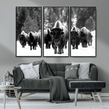 62434-MGV-CV-36X24-Bison Herd Wall Art – Majestic Black and White Buffalo Canvas Print, Wildlife Nature Photography Decor for Living Room, Office or