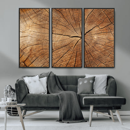 61710-MGV-CV-36X24-Tree Rings Wall Art – Rustic Wood Grain Canvas Print of Tree Trunk Cross Section, Nature Inspired Decor for Cabin, Office, Living