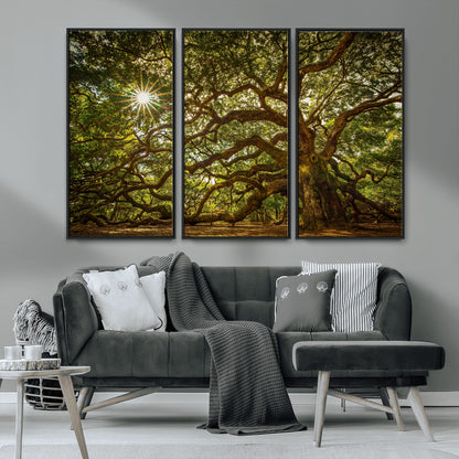 57983-MGV-CV-36X24-Angel Oak Tree Wall Art Canvas Print, Framed Oak Tree Art Picture Print, Angel Oak Perfect Rustic Nature Decor Artwork