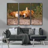 25085-MGV-CV-36X24-Sleeping Fox Wall Art Canvas Print, Framed Rustic Fox Art Picture Print, Wildlife Animal Perfect Rustic Farmhouse Decor Artwork