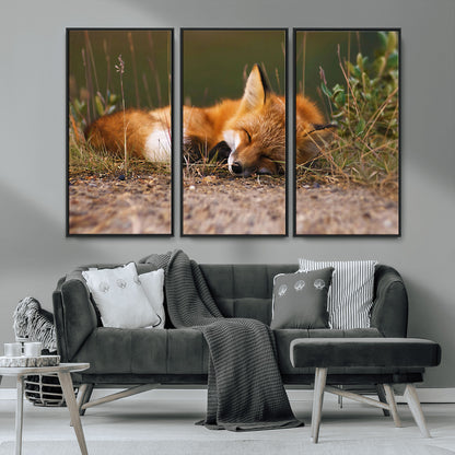 25085-MGV-CV-36X24-Sleeping Fox Wall Art Canvas Print, Framed Rustic Fox Art Picture Print, Wildlife Animal Perfect Rustic Farmhouse Decor Artwork