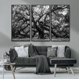 132944706-MGV-CV-36X24-Ancient Tree Wall Art – Black and White Photography Canvas Print Featuring Majestic Twisting Branches, Rustic Nature Artwork for