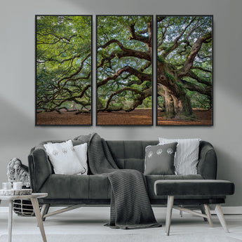 MGV-FC-48X32-3P - Historic Tree Wall Art Canvas Print, Framed Mossy Tree Art Picture Print, Twisted Branches Perfect Nature Southern Decor Artwork