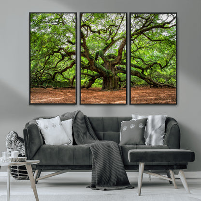 51255351-MGV-CV-36X24-Ancient Tree Wall Art – Majestic Oak Canvas Print, Large Nature Photography, Sacred Forest Landscape Wall Décor, Wisdom Tree