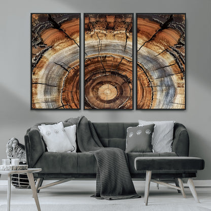 15184146-MGV-CV-36X24-Tree Rings Wall Art Canvas Print, Framed Wood Texture Art Picture Print, Rustic Pattern Perfect Rustic Organic Decor Artwork