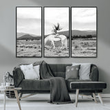 62789800-MGV-CV-36X24-White Horse Wall Art Canvas Print, Framed Woman Rider Art Picture Print, Equestrian Pose Perfect Western Boho Decor Artwork