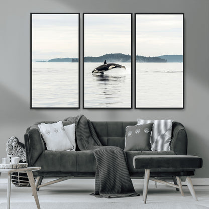 10157174-MGV-CV-36X24-Orca Whale Wall Art Canvas Print, Framed Black White Whale Art Picture Print, Minimalist Ocean Perfect Coastal Minimalist Decor