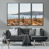 45193515-MGV-CV-36X24-Desert Cactus Wall Art Canvas Print, Framed Baja Coastline Art Picture Print, Coastal Desert Perfect Southwestern Minimalist Decor