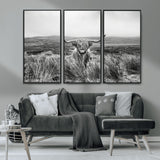 24051061-MGV-CV-36X24-Monochrome Highland Cow Wall Art Canvas Print, Framed Scottish Bull Art Picture Print, Lone Cattle Perfect Rustic Farmhouse Decor