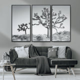 29996209-MGV-CV-36X24-Joshua Tree Art Wall Art Canvas Print, Framed Black White Landscape Art Picture Print, Desert Tree Decor Perfect Southwestern Boho