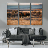39509187-MGV-FC-48X32-3P_Black-Western Wildlife Wall Art Canvas Print, Framed Bison Art Picture Print, Golden Hour Perfect Western Rustic Decor Artwork