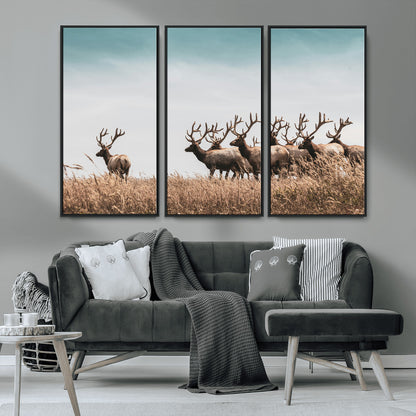 81594705-MGV-CV-36X24-Elk Herd Wall Art Canvas Print, Framed Wildlife Photography Art Picture Print, Rustic Nature Print Perfect Rustic Wildlife Decor