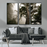 87969493-MGV-CV-36X24-Forest Wall Art – Misty Tall Trees Canvas Print, Dramatic Woodland Photography Decor for Bedroom, Living Room, Office, Cabin,