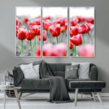 44554-MGV-CV-36X24-Vibrant red tulips stand out beautifully against a black-and-white background, making a striking decor piece perfect for any home