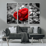 84671-MGV-CV-36X24-Red Rose Wall Art – Vibrant Single Bloom Canvas Print with Black and White Background, Elegant Floral Decor for Living Room,