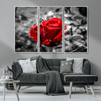 84671-MGV-CV-36X24-Red Rose Wall Art – Vibrant Single Bloom Canvas Print with Black and White Background, Elegant Floral Decor for Living Room,