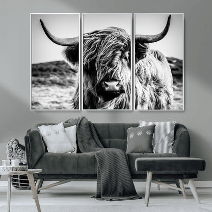 36979-MGV-CV-36X24-Striking black-and-white portrait of a Highland cow with flowing fur and majestic horns, perfect for rustic and elegant home or