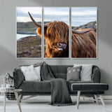 71222-MGV-CV-36X24-A playful Highland cow with shaggy fur sticks out its tongue, set against a rugged landscape — perfect for quirky home or office