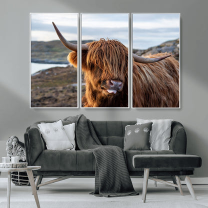 71222-MGV-CV-36X24-A playful Highland cow with shaggy fur sticks out its tongue, set against a rugged landscape — perfect for quirky home or office
