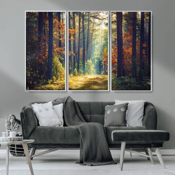 86249-MGV-CV-36X24-Sunlit Autumn Forest Path Wall Art – Peaceful Nature Scene with Fall Foliage, Calming Woods Decor for Home or Office