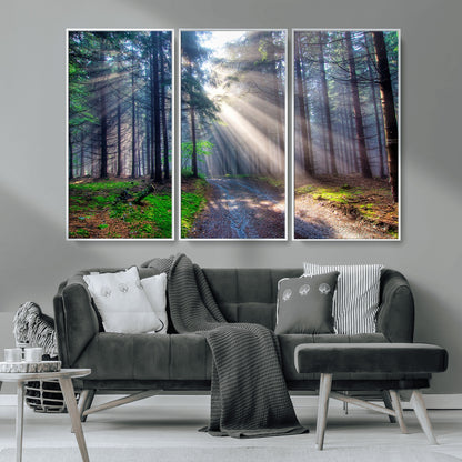 42047-MGV-CV-36X24-Sunlit Forest Path Wall Art – Nature Canvas Print, Serene Woodland Landscape, Perfect Home & Office Decor for Calm and Tranquil