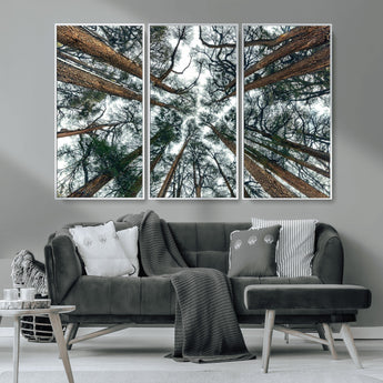 18790-MGV-CV-36X24-Pine Canopy Wall Art – Panoramic View of Towering Pines Canvas Print, Nature-Inspired Decor for Office, Cabin or Living Room