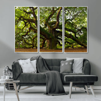 29407-MGV-CV-36X24-Ancient Oak Tree Wall Art – Majestic Nature Canvas Print, Large Tree Photography Decor for Living Room
