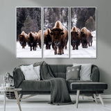 66871-MGV-CV-36X24-Bison Herd Wall Art – Wildlife Buffalo Canvas Print, Rustic Western Nature Photography Decor for Living Room, Office, Cabin, or