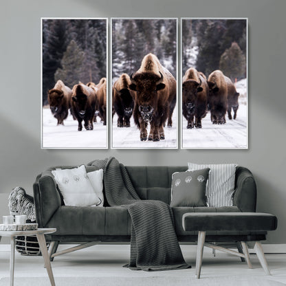 66871-MGV-CV-36X24-Bison Herd Wall Art – Wildlife Buffalo Canvas Print, Rustic Western Nature Photography Decor for Living Room, Office, Cabin, or