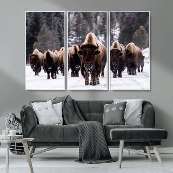 66871-MGV-CV-36X24-Bison Herd Wall Art – Wildlife Buffalo Canvas Print, Rustic Western Nature Photography Decor for Living Room, Office, Cabin, or
