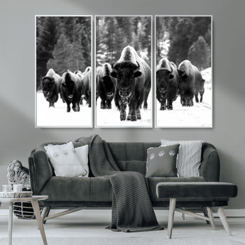 62434-MGV-CV-36X24-Bison Herd Wall Art – Majestic Black and White Buffalo Canvas Print, Wildlife Nature Photography Decor for Living Room, Office or