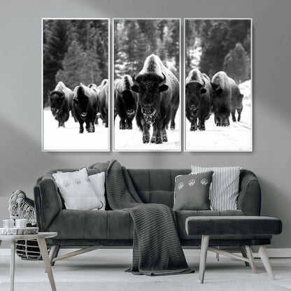 62434-MGV-CV-36X24-Bison Herd Wall Art – Majestic Black and White Buffalo Canvas Print, Wildlife Nature Photography Decor for Living Room, Office or
