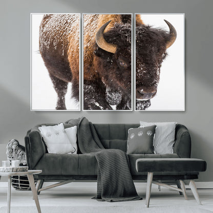 65605-MGV-CV-36X24-Snow Bison Wall Art – Close Up Buffalo Canvas Print, Rustic Western Wildlife Photography, Farmhouse Cabin Lodge Decor for Living