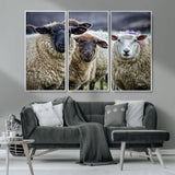 18418-MGV-CV-36X24-Sheep Wall Art Canvas Print, Framed Farmhouse Sheep Art Picture Print, Sheep Herd Perfect Rustic Farmhouse Decor Artwork