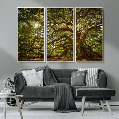 57983-MGV-CV-36X24-Angel Oak Tree Wall Art Canvas Print, Framed Oak Tree Art Picture Print, Angel Oak Perfect Rustic Nature Decor Artwork