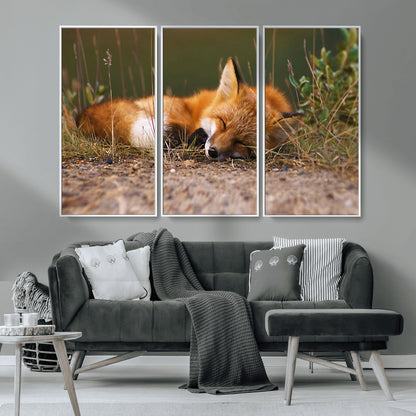 25085-MGV-CV-36X24-Sleeping Fox Wall Art Canvas Print, Framed Rustic Fox Art Picture Print, Wildlife Animal Perfect Rustic Farmhouse Decor Artwork