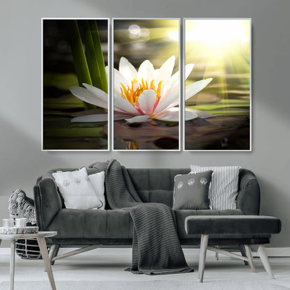 40478-MGV-FC-48X32-3P_White-Water Lily Wall Art – White Lotus Flower Canvas Print with Sunlight Reflection, Serene Botanical Artwork for Living Room, Bedroom,