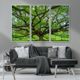 49375306-MGV-CV-36X24-Ancient Tree Wall Art Canvas Print, Framed Sprawling Branches Art Picture Print, Gnarling Tree Perfect Earthy Natural Decor