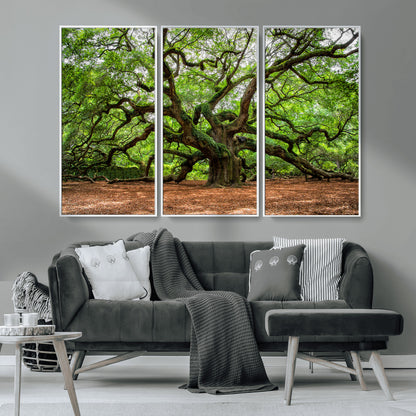 51255351-MGV-CV-36X24-Ancient Tree Wall Art – Majestic Oak Canvas Print, Large Nature Photography, Sacred Forest Landscape Wall Décor, Wisdom Tree