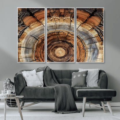 15184146-MGV-CV-36X24-Tree Rings Wall Art Canvas Print, Framed Wood Texture Art Picture Print, Rustic Pattern Perfect Rustic Organic Decor Artwork